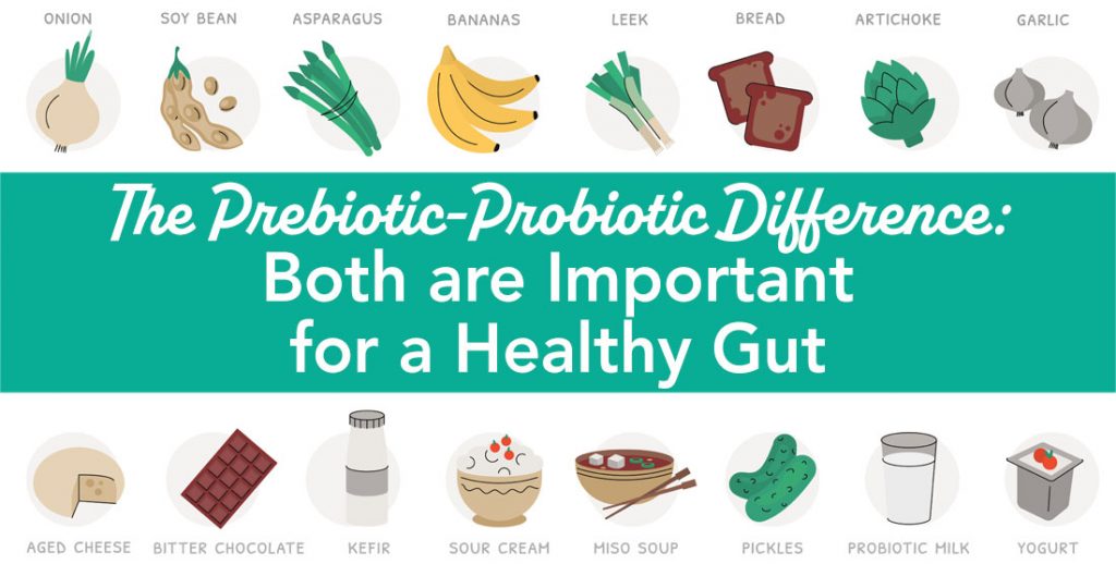 The Roles Prebiotics & Probiotics Play in Our Overall Health