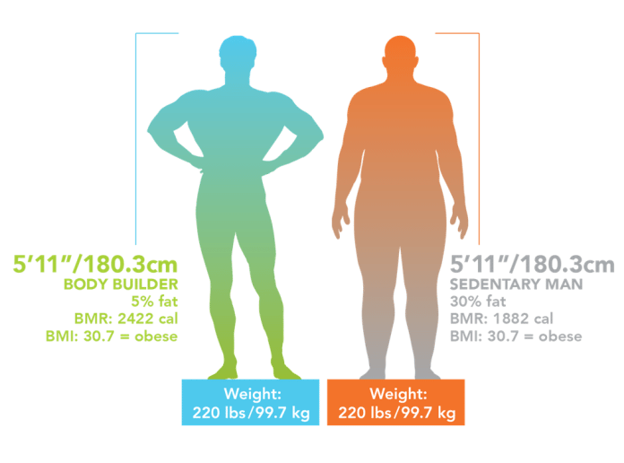 Don’t Fall in the Yo-yo Cycle of Weight Loss - All About Mannatech